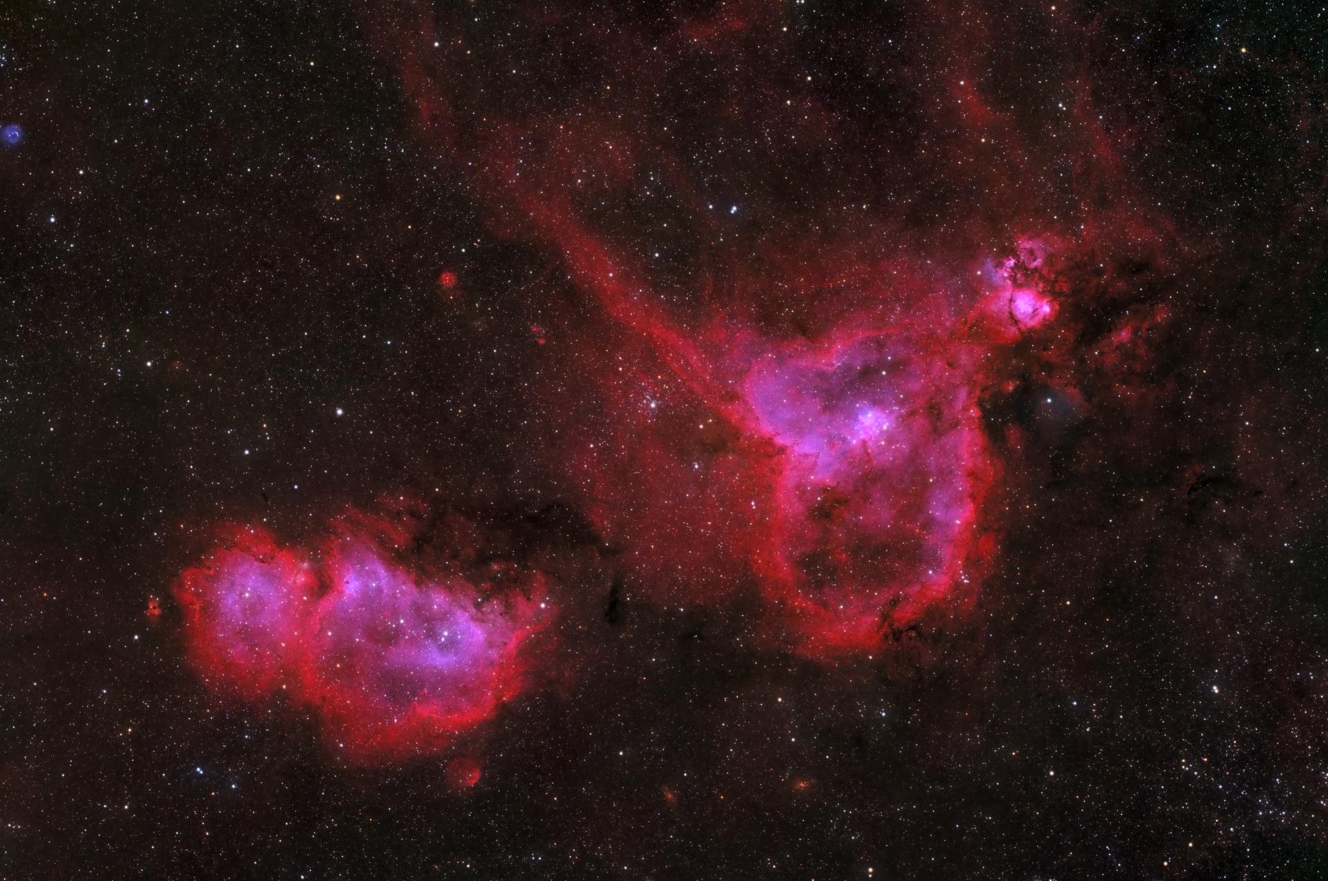 IC1805.jpg