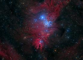 NGC2264.jpg