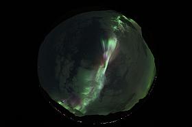 IMG_1527.jpg